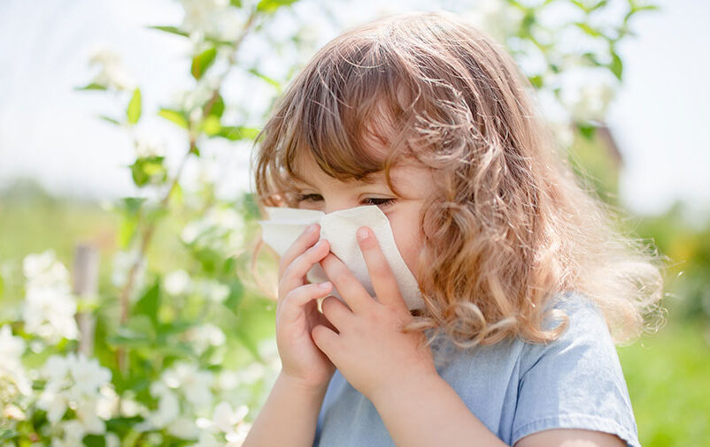 2023 como evitar as alergias infantis 23 Alergias Infantis